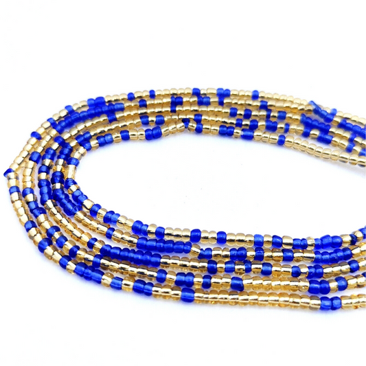 GOLD & BLUE GALA
